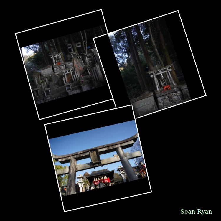 Stone Torii - Every Day Photos